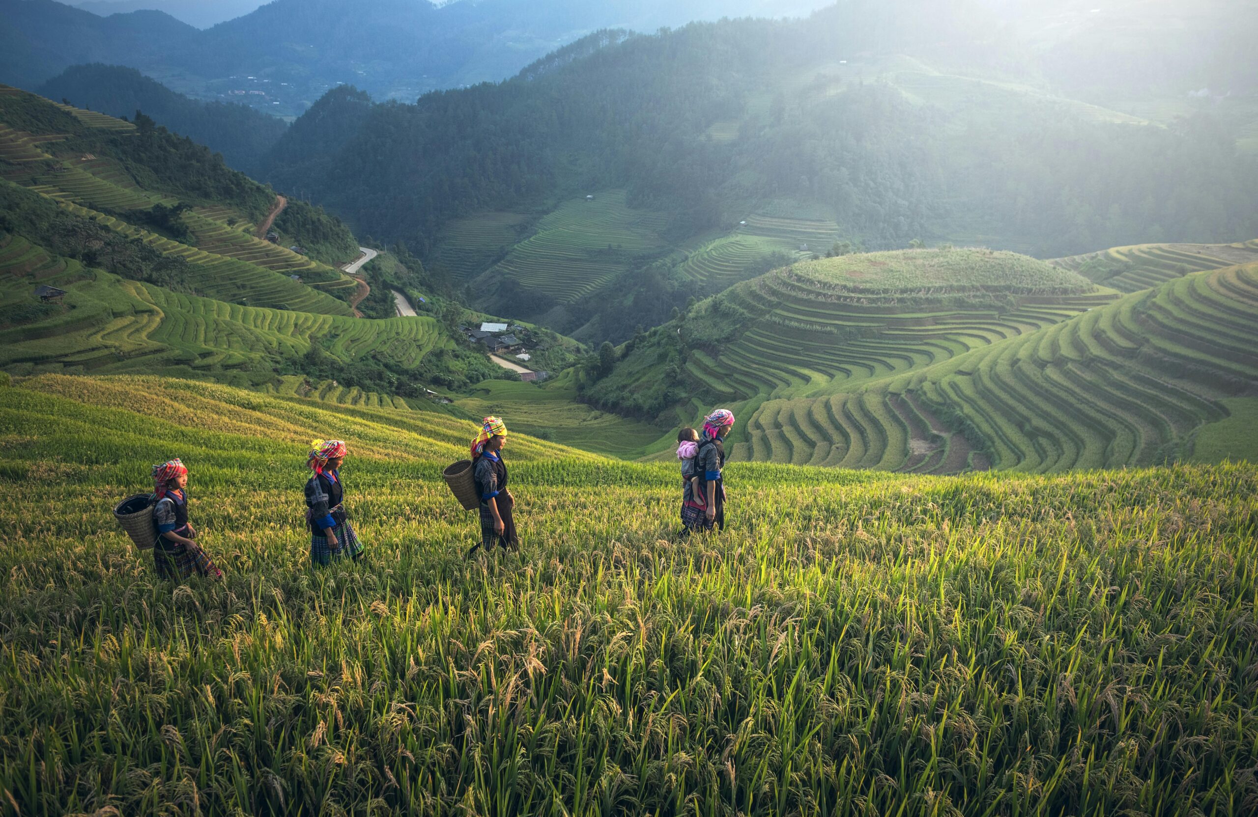Sapa: Vẻ đẹp kỳ thú của miền núi Tây Bắc Việt Nam Ruộng bậc thang Sapa