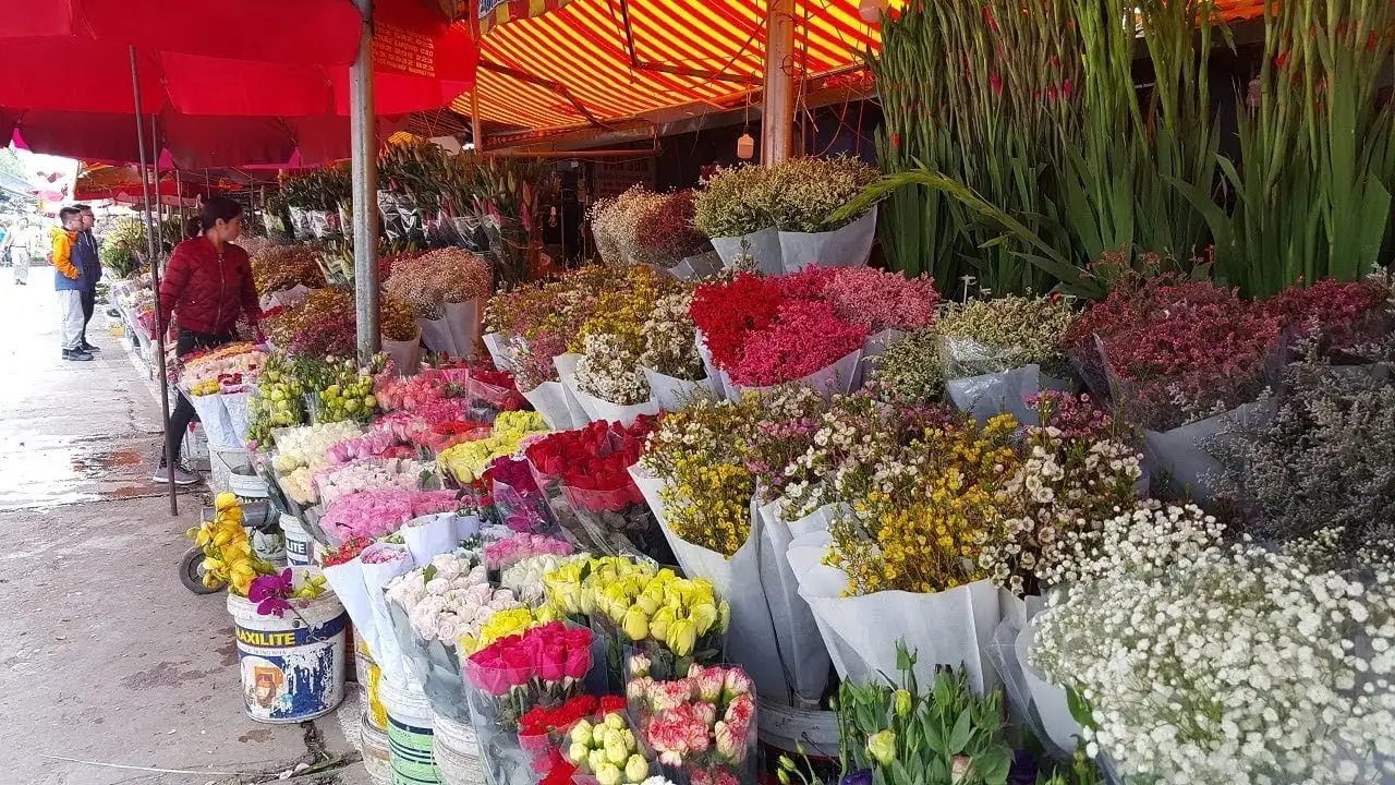 Chợ hoa Tết phố cổ Hà Nội - Không khí Xuân rộn ràng Chợ hoa Tết phố cổ Hà Nội: Mua sắm, thưởng ngoạn và đắm mình trong không khí Xuân