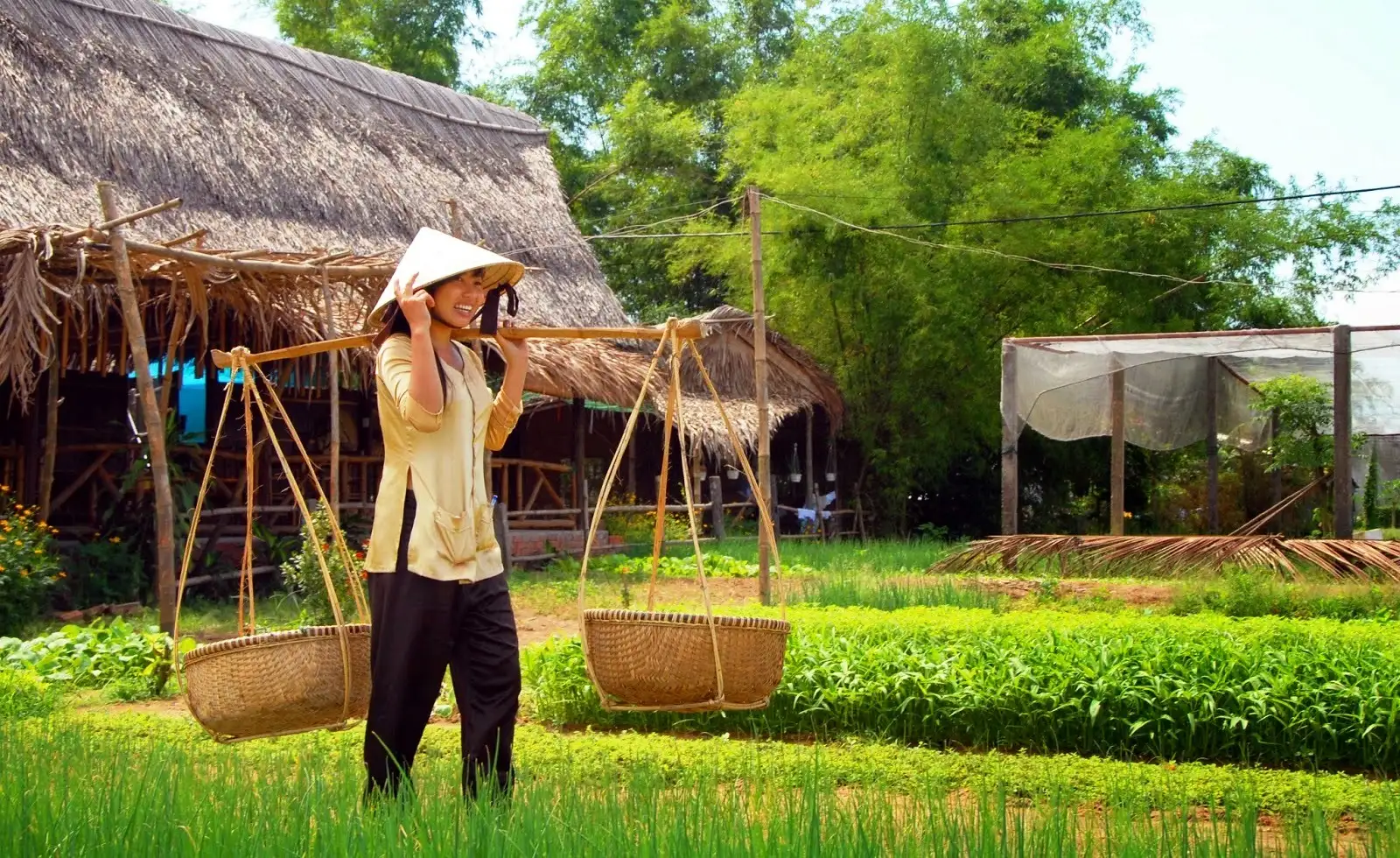 Khám phá làng rau truyền thống 400 tuổi tại Việt Nam Khám phá làng rau truyền thống 400 tuổi tại Việt Nam