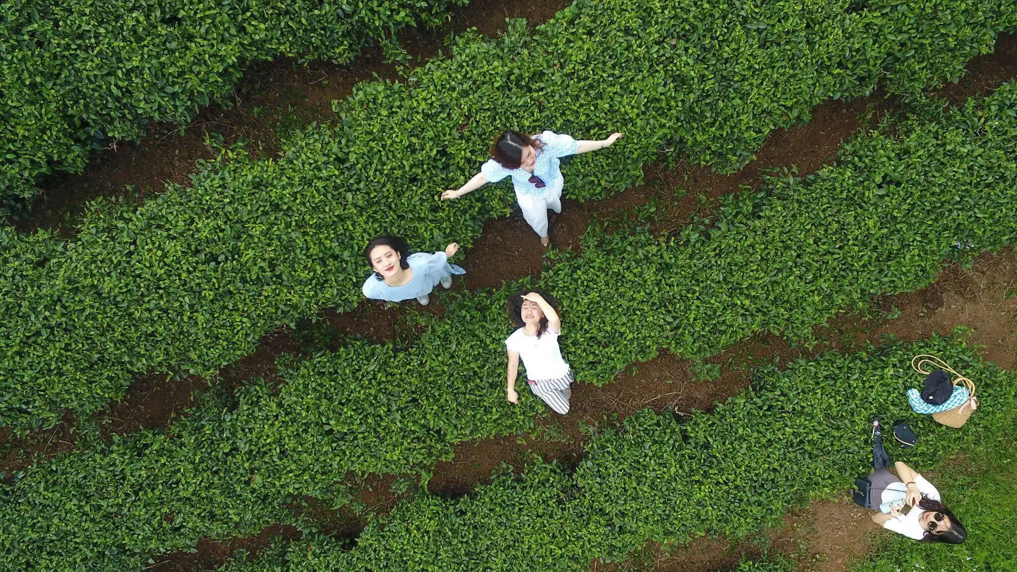 Hành trình phát triển du lịch xanh bền vững tại Việt Nam Hành trình phát triển du lịch xanh bền vững tại Việt Nam