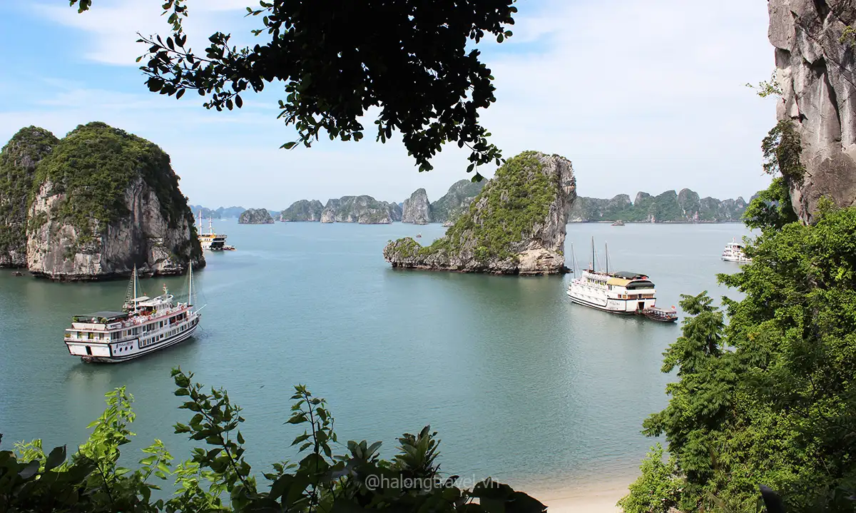Du lịch di sản Việt Nam: Tận dụng giá trị văn hóa để phát triển Du lịch di sản Việt Nam: Tận dụng giá trị văn hóa để phát triển