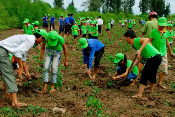 Khám phá làng rau truyền thống 400 tuổi tại Việt Nam Hình ảnh bảo vệ tài nguyên thiên nhiên và nông nghiệp bền vững