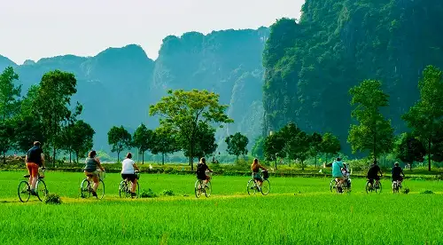 Hành trình phát triển du lịch xanh bền vững tại Việt Nam