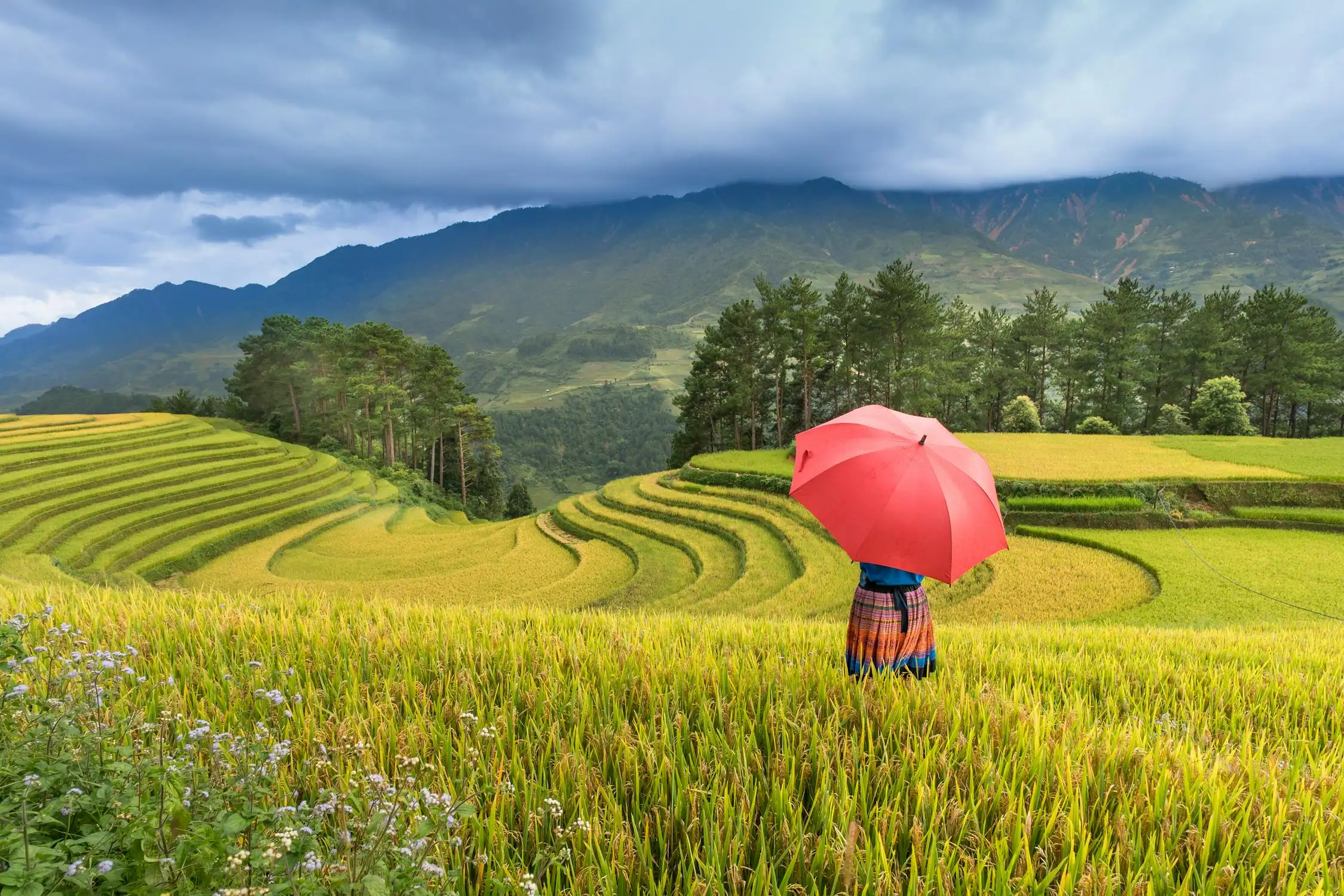 Tái mở cửa các khu du lịch nổi tiếng tại Việt Nam Sapa