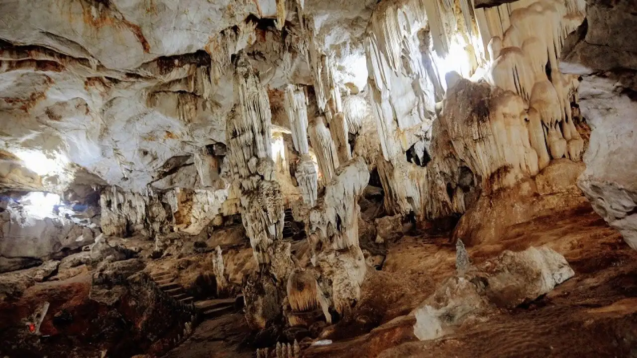 Hang Dơi Mộc Châu: Điểm đến kỳ thú giữa thiên nhiên hoang sơ Hang Dơi Mộc Châu: Điểm đến kỳ thú giữa thiên nhiên hoang sơ