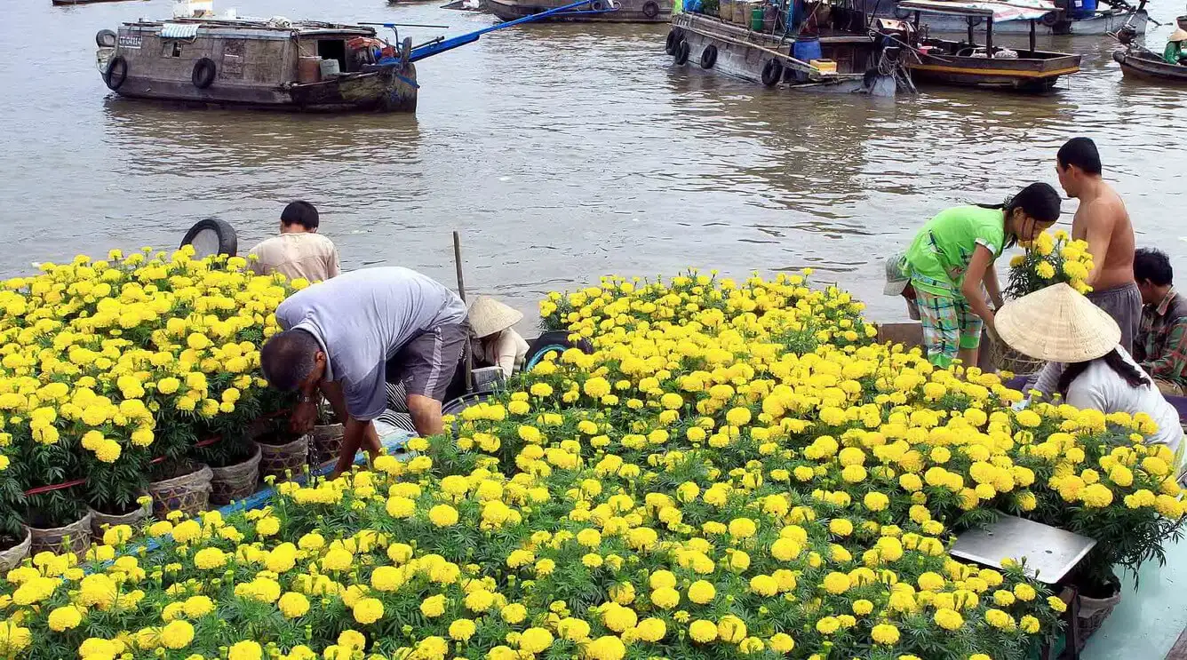 Cần Thơ miễn tiền thuê mặt bằng cho Chợ hoa Xuân 2025 Cần Thơ miễn tiền thuê mặt bằng cho Chợ hoa Xuân 2025