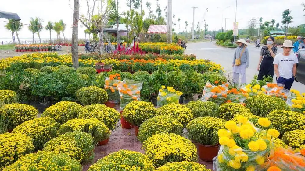 Cần Thơ miễn tiền thuê mặt bằng cho Chợ hoa Xuân 2025 Cần Thơ miễn tiền thuê mặt bằng cho Chợ hoa Xuân 2025