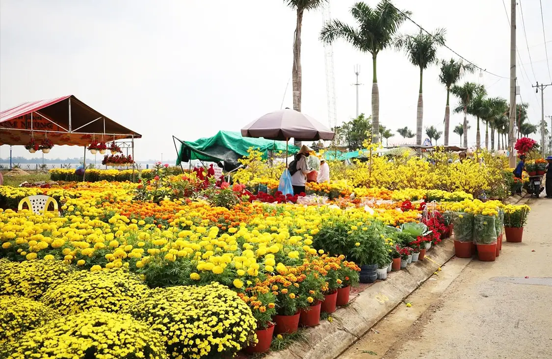 Cần Thơ miễn tiền thuê mặt bằng cho Chợ hoa Xuân 2025 Cần Thơ miễn tiền thuê mặt bằng cho Chợ hoa Xuân 2025