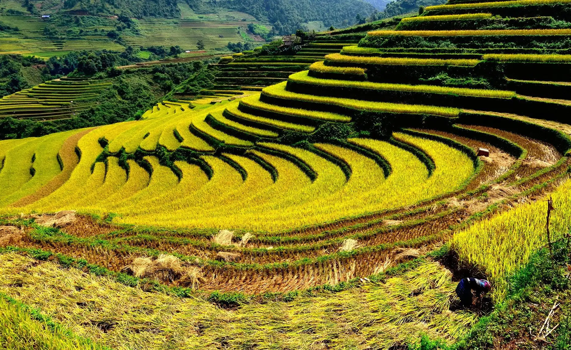 Du lịch Lào Cai đón 370.000 lượt khách dịp tết Ất Tỵ 2025 Du lịch Lào Cai Đón Hơn 370.000 Lượt Khách Dịp Tết Ất Tỵ 2025