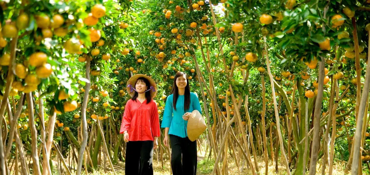 Thới Sơn - Tiền Giang: “Viên ngọc quý” của miền sông nước Thới Sơn – Tiền Giang: “Viên ngọc quý” của miền sông nước