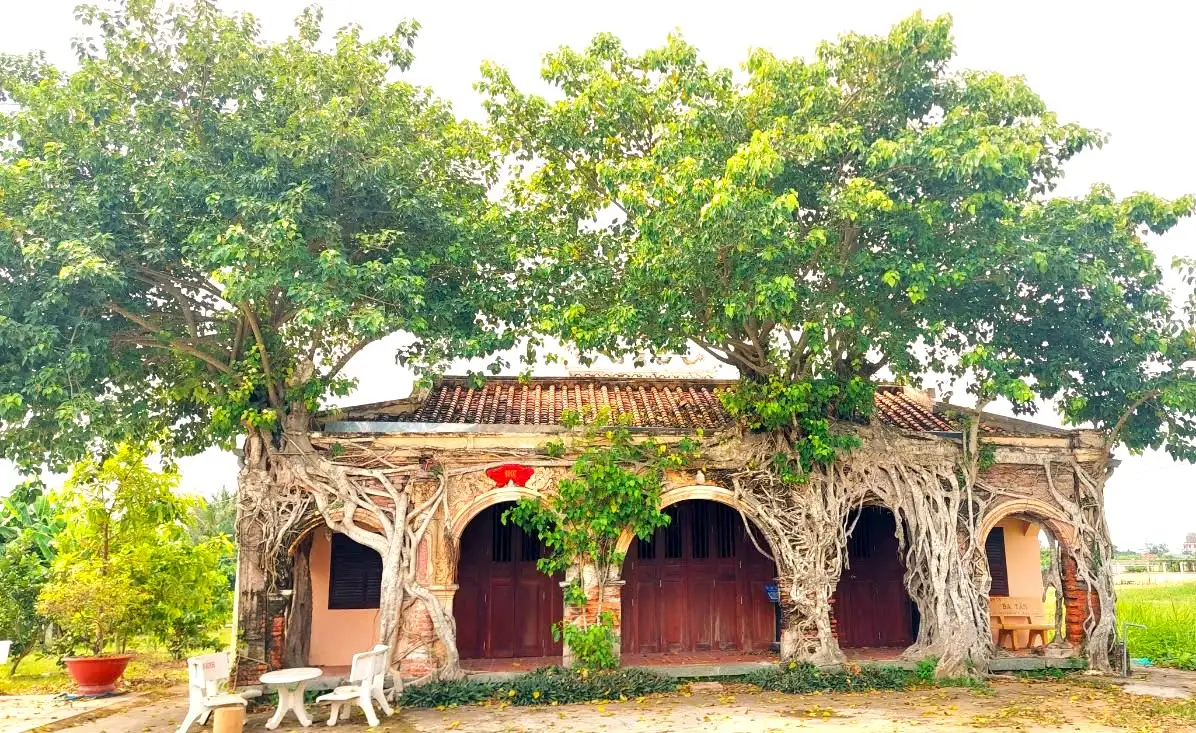 Đình Tân Đông Tiền Giang - Di tích lịch sử với vẻ đẹp cổ kính Đình Tân Đông Tiền Giang – Di tích lịch sử với vẻ đẹp cổ kính