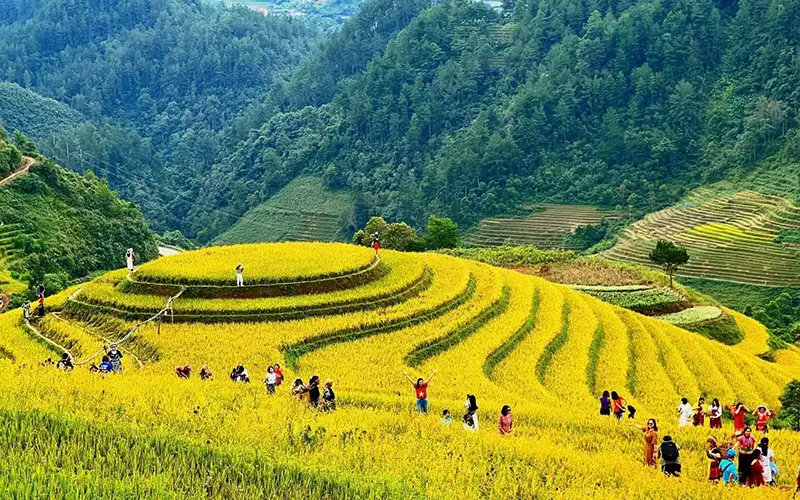 Ruộng bậc thang Buôn Ma Giai - Gia Lai dưới chân núi Ơi Phí Ruộng bậc thang Buôn Ma Giai – Gia Lai dưới chân núi Ơi Phí