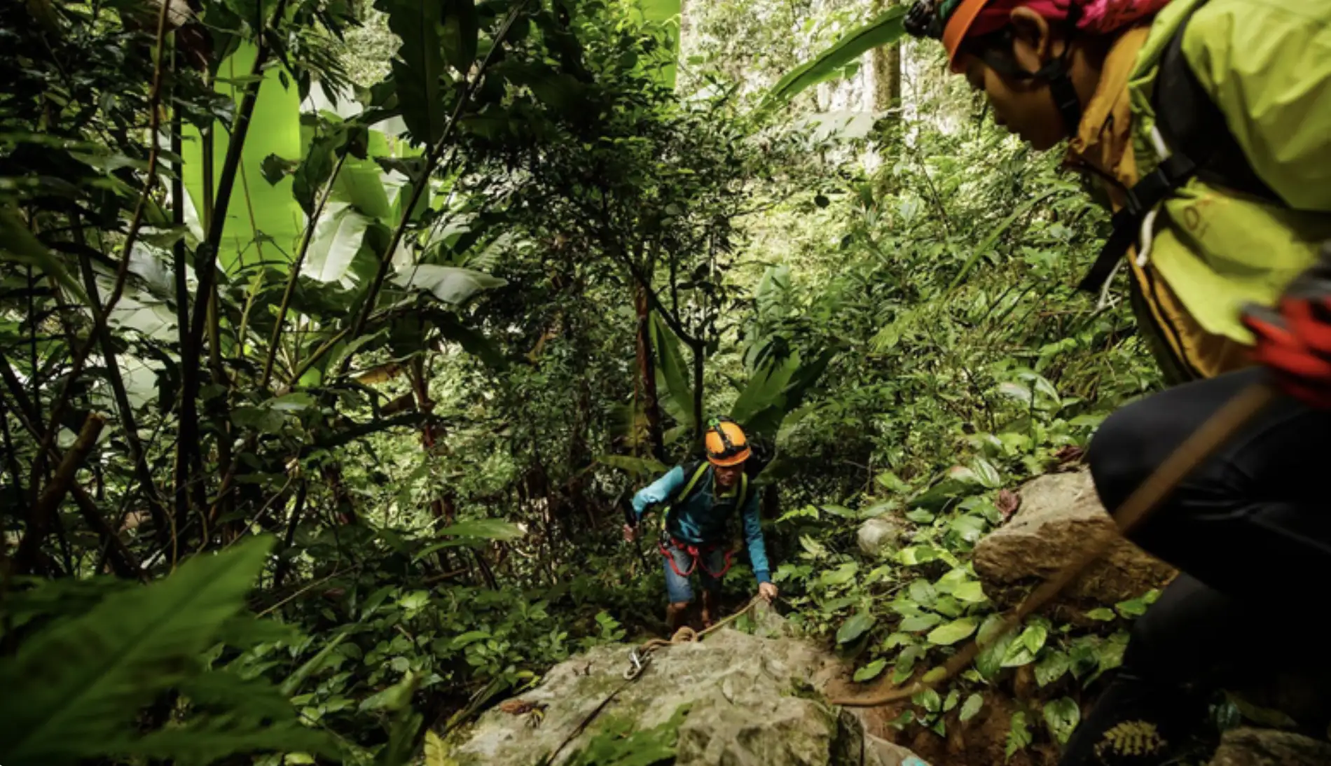 Trekking Là Gì? Toàn Tập Cẩm Nang A-Z Từ Local Guide 10 Năm Kinh Nghiệm