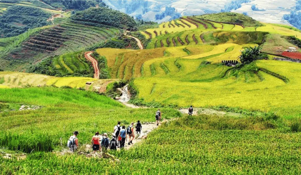 Trekking Là Gì? Hành Trình Phiêu Lưu Mọi Miền Tổ Quốc